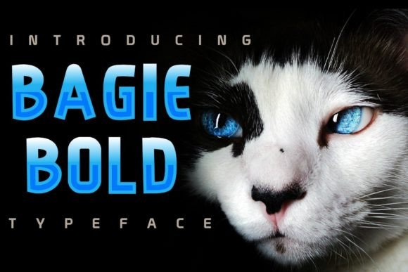 Bagie: A Playful Font for Modern Design